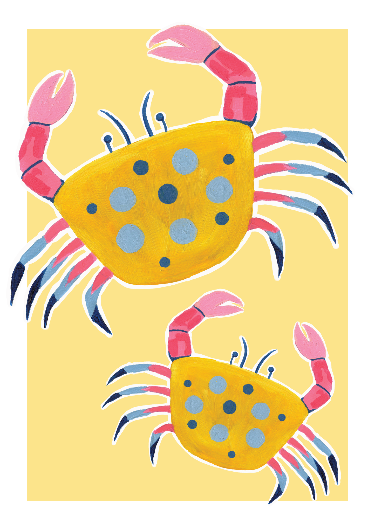 Colourful Crabs