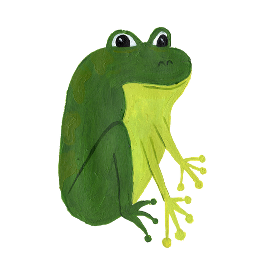 A5 Framed Original Frog